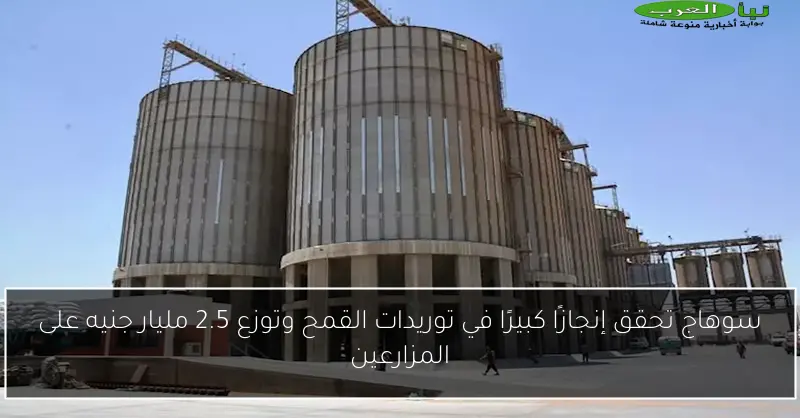 سوهاج تحقق إنجازًا كبيرًا في توريدات القمح وتوزع 2.5 مليار جنيه على المزارعين