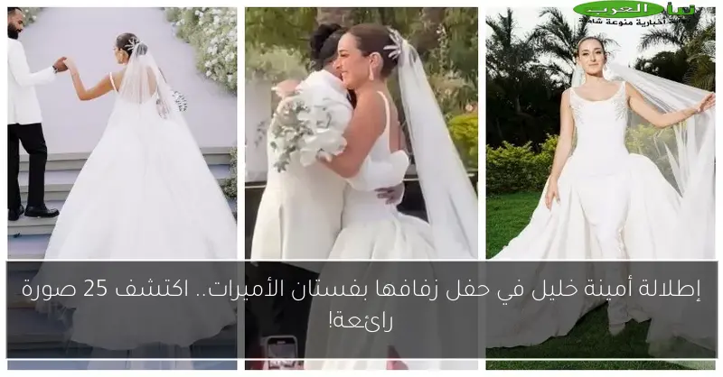 إطلالة أمينة خليل في حفل زفافها بفستان الأميرات.. اكتشف 25 صورة رائعة!
