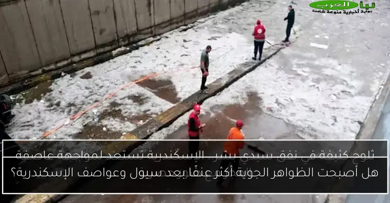 هل أصبحت الظواهر الجوية أكثر عنفًا بعد سيول وعواصف الإسكندرية؟