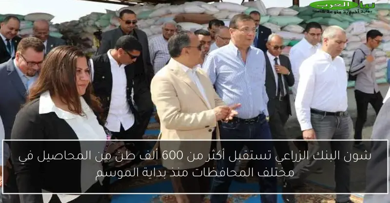 شون البنك الزراعي تستقبل أكثر من 600 ألف طن من المحاصيل في مختلف المحافظات منذ بداية الموسم