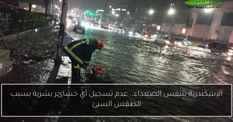 الإسكندرية تتنفس الصعداء.. عدم تسجيل أي خسائر بشرية بسبب الطقس السيئ