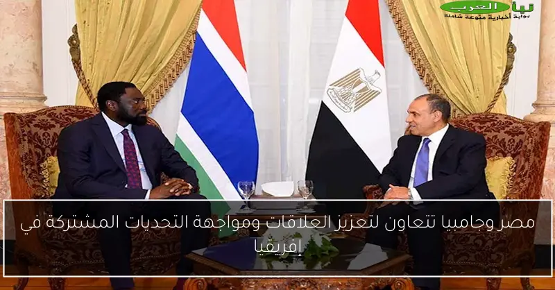 مصر وجامبيا تتعاون لتعزيز العلاقات ومواجهة التحديات المشتركة في إفريقيا