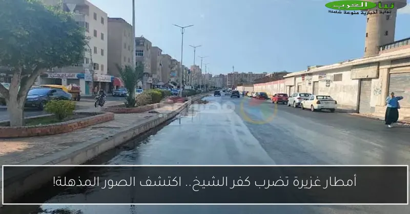 أمطار غزيرة تضرب كفر الشيخ.. اكتشف الصور المذهلة!