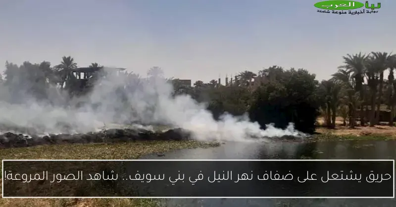 حريق يشتعل على ضفاف نهر النيل في بني سويف.. شاهد الصور المروعة!