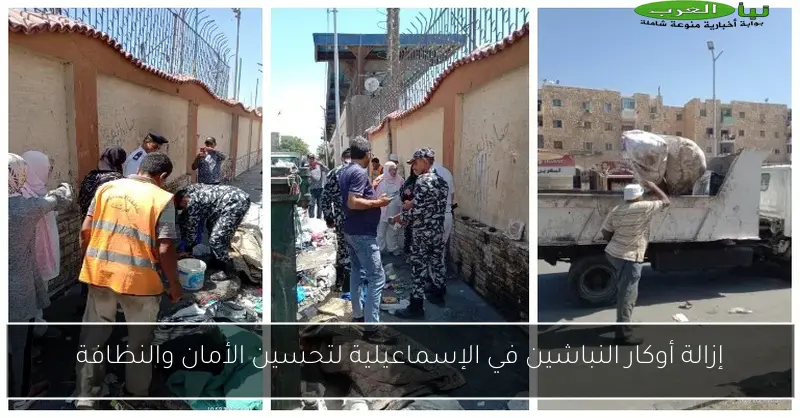 إزالة أوكار النباشين في الإسماعيلية لتحسين الأمان والنظافة