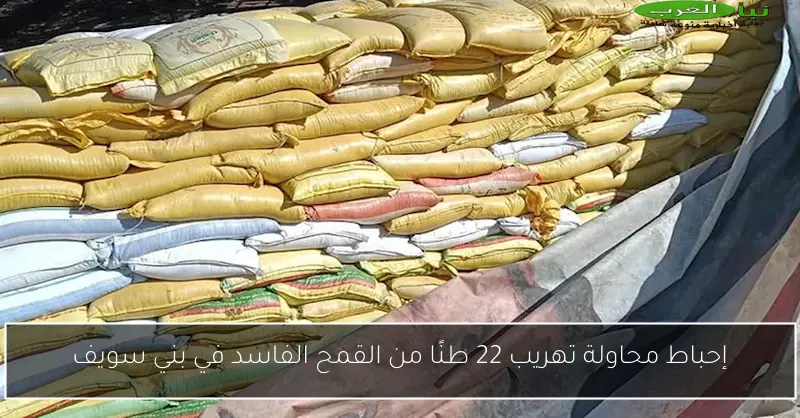 إحباط محاولة تهريب 22 طنًا من القمح الفاسد في بني سويف