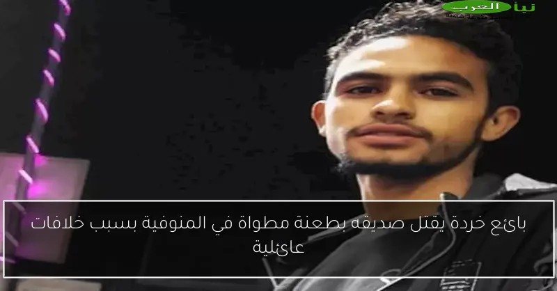 بائع خردة يقتل صديقه بطعنة مطواة في المنوفية بسبب خلافات عائلية