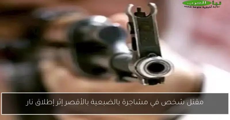مقتل شخص في مشاجرة بالضبعية بالأقصر إثر إطلاق نار