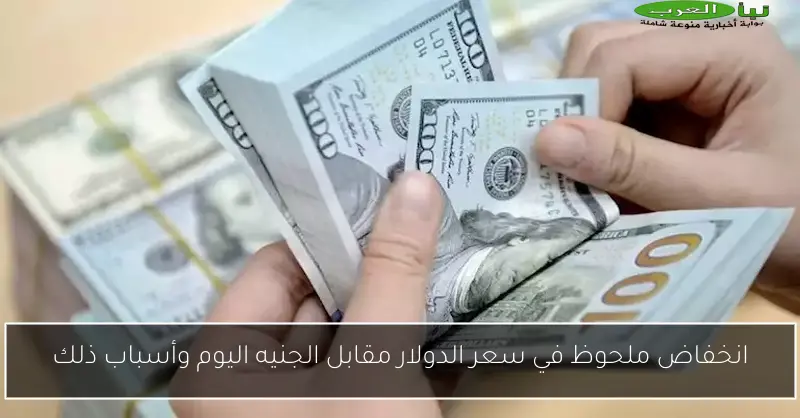 انخفاض ملحوظ في سعر الدولار مقابل الجنيه اليوم وأسباب ذلك
