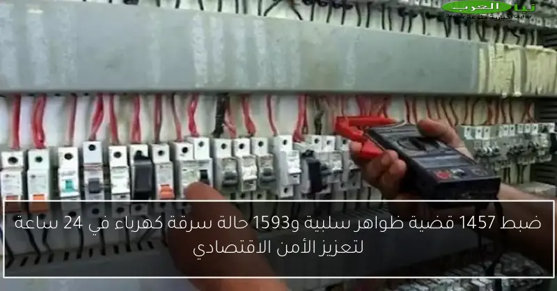 ضبط 1457 قضية ظواهر سلبية و1593 حالة سرقة كهرباء في 24 ساعة لتعزيز الأمن الاقتصادي