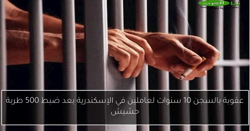 عقوبة بالسجن 10 سنوات لعاملين في الإسكندرية بعد ضبط 500 طربة حشيش