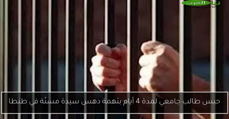 حبس طالب جامعي لمدة 4 أيام بتهمة دهس سيدة مسنّة في طنطا