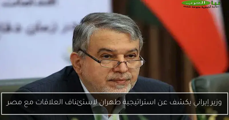 وزير إيراني يكشف عن استراتيجية طهران لاستئناف العلاقات مع مصر