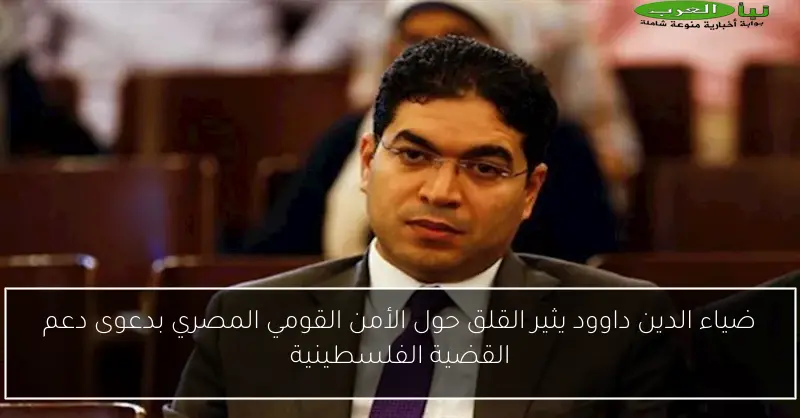 ضياء الدين داوود يثير القلق حول الأمن القومي المصري بدعوى دعم القضية الفلسطينية