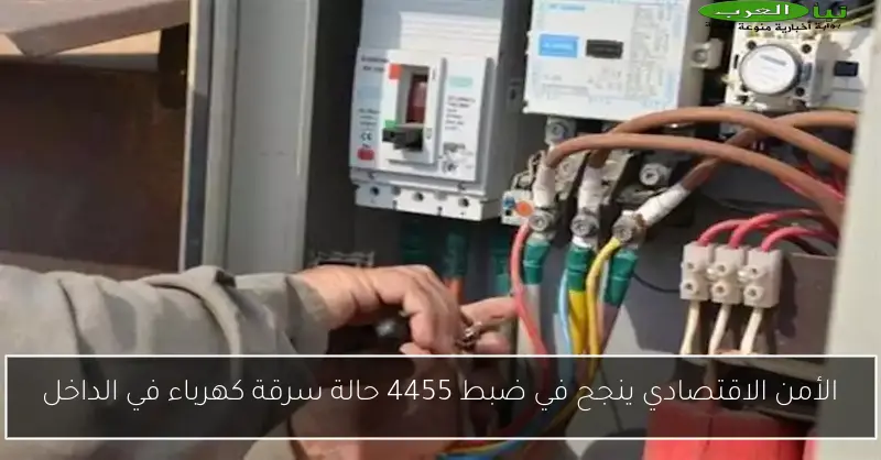 الأمن الاقتصادي ينجح في ضبط 4455 حالة سرقة كهرباء في الداخل