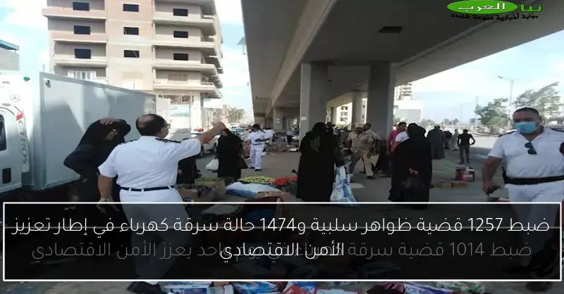ضبط 1257 قضية ظواهر سلبية و1474 حالة سرقة كهرباء في إطار تعزيز الأمن الاقتصادي