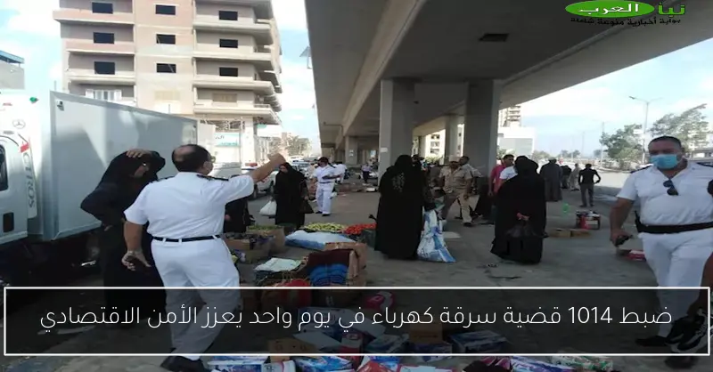 ضبط 1014 قضية سرقة كهرباء في يوم واحد يعزز الأمن الاقتصادي