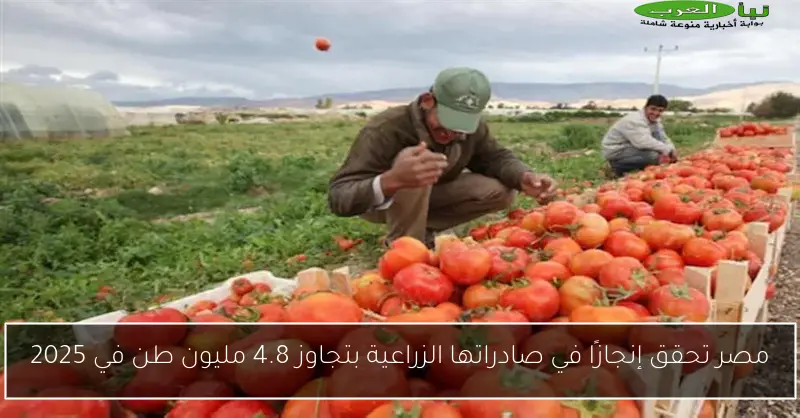 مصر تحقق إنجازًا في صادراتها الزراعية بتجاوز 4.8 مليون طن في 2025