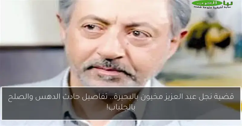 قضية نجل عبد العزيز مخيون بالبحيرة.. تفاصيل حادث الدهس والصلح بالجلباب!