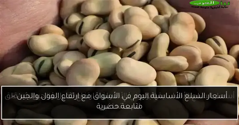 أسعار السلع الأساسية اليوم في الأسواق مع ارتفاع الفول والجبن – متابعة حصرية