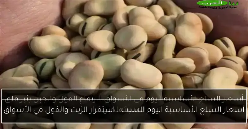 أسعار السلع الأساسية اليوم السبت.. استقرار الزيت والفول في الأسواق
