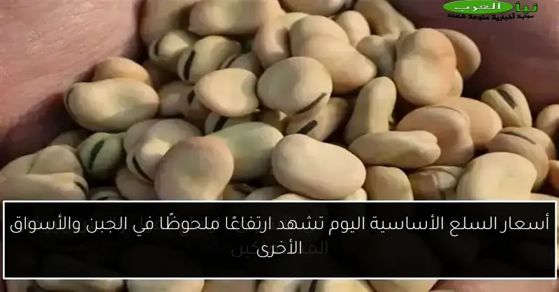 أسعار السلع الأساسية اليوم تشهد ارتفاعًا ملحوظًا في الجبن والأسواق الأخرى
