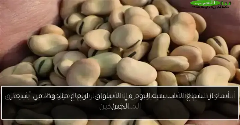 أسعار السلع الأساسية اليوم في الأسواق.. ارتفاع ملحوظ في أسعار الجبن