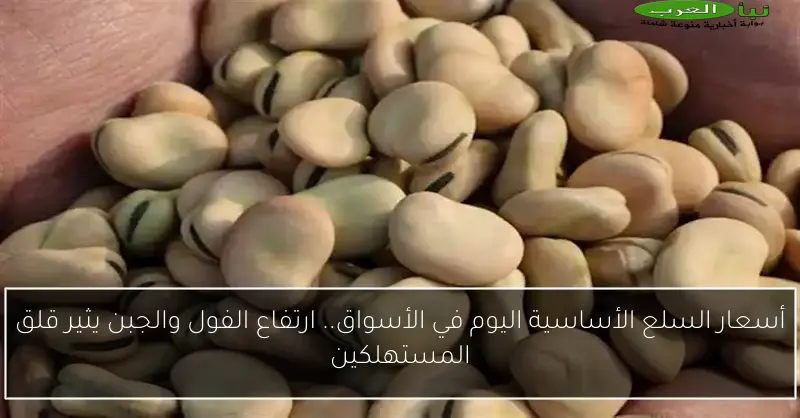 أسعار السلع الأساسية اليوم في الأسواق.. ارتفاع الفول والجبن يثير قلق المستهلكين
