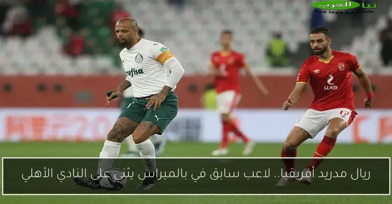 ريال مدريد أفريقيا.. لاعب سابق في بالميراس يثني على النادي الأهلي