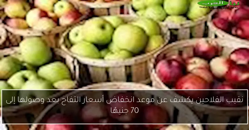 نقيب الفلاحين يكشف عن موعد انخفاض أسعار التفاح بعد وصولها إلى 70 جنيهًا