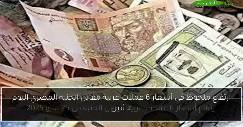 ارتفاع ملحوظ في أسعار 6 عملات عربية مقابل الجنيه المصري اليوم الاثنين