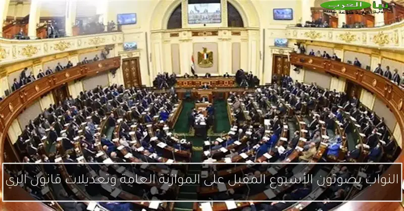النواب يصوتون الأسبوع المقبل على الموازنة العامة وتعديلات قانون الري