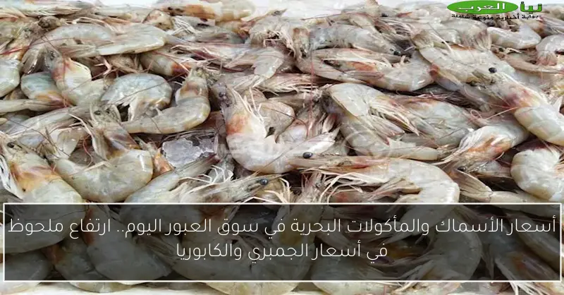 أسعار الأسماك والمأكولات البحرية في سوق العبور اليوم.. ارتفاع ملحوظ في أسعار الجمبري والكابوريا