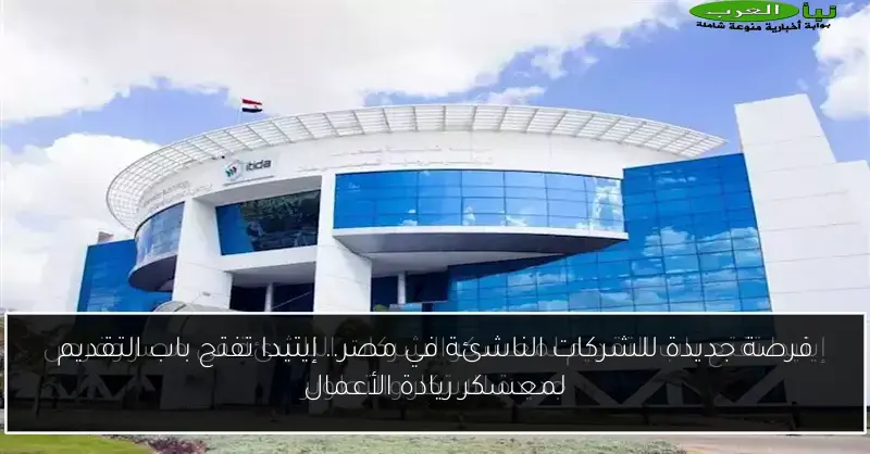 فرصة جديدة للشركات الناشئة في مصر.. إيتيدا تفتح باب التقديم لمعسكر ريادة الأعمال