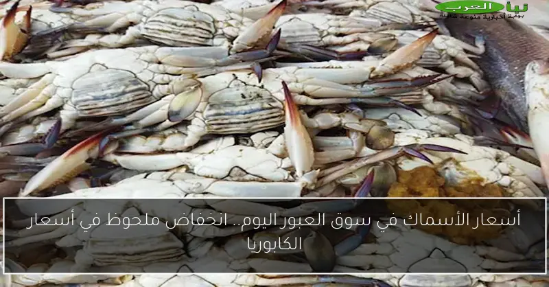 أسعار الأسماك في سوق العبور اليوم.. انخفاض ملحوظ في أسعار الكابوريا