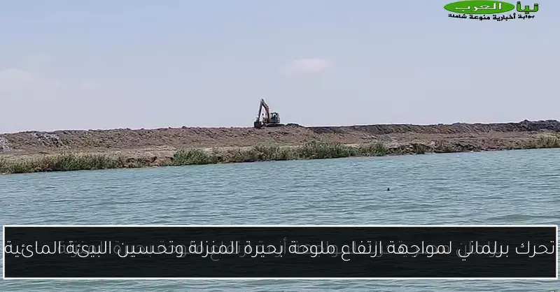 تحرك برلماني لمواجهة ارتفاع ملوحة بحيرة المنزلة وتحسين البيئة المائية