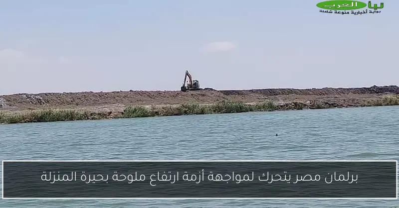 برلمان مصر يتحرك لمواجهة أزمة ارتفاع ملوحة بحيرة المنزلة