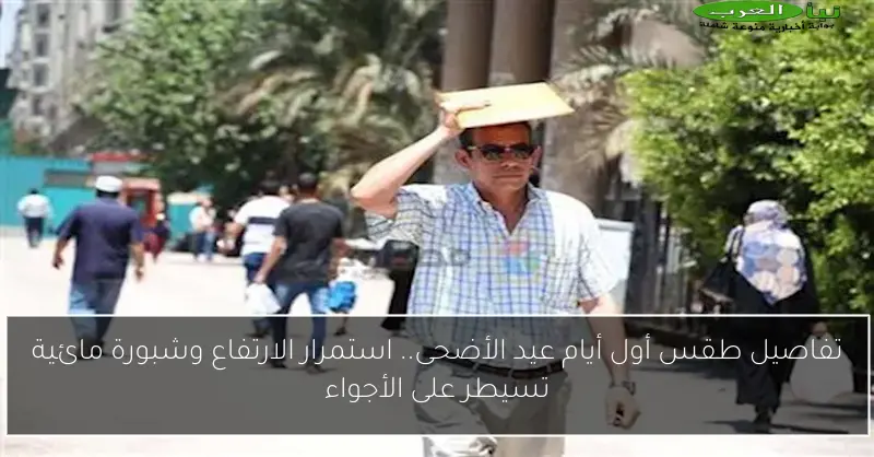 تفاصيل طقس أول أيام عيد الأضحى.. استمرار الارتفاع وشبورة مائية تسيطر على الأجواء