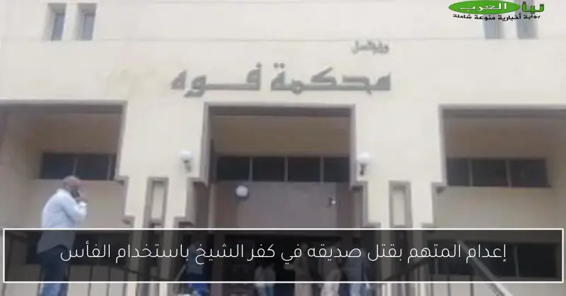 إعدام المتهم بقتل صديقه في كفر الشيخ باستخدام الفأس