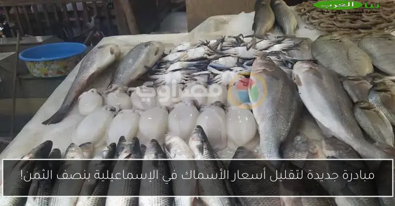 مبادرة جديدة لتقليل أسعار الأسماك في الإسماعيلية بنصف الثمن!