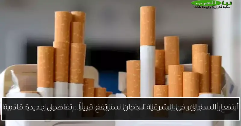 أسعار السجائر في الشرقية للدخان سترتفع قريباً.. تفاصيل جديدة قادمة!