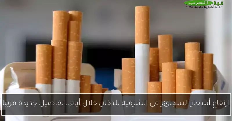 ارتفاع أسعار السجائر في الشرقية للدخان خلال أيام.. تفاصيل جديدة قريبا