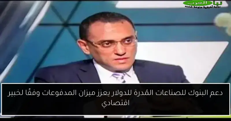 دعم البنوك للصناعات المُدرة للدولار يعزز ميزان المدفوعات وفقًا لخبير اقتصادي