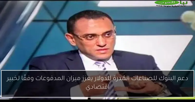 دعم البنوك للصناعات المُدرة للدولار يعزز ميزان المدفوعات وفقًا لخبير اقتصادي