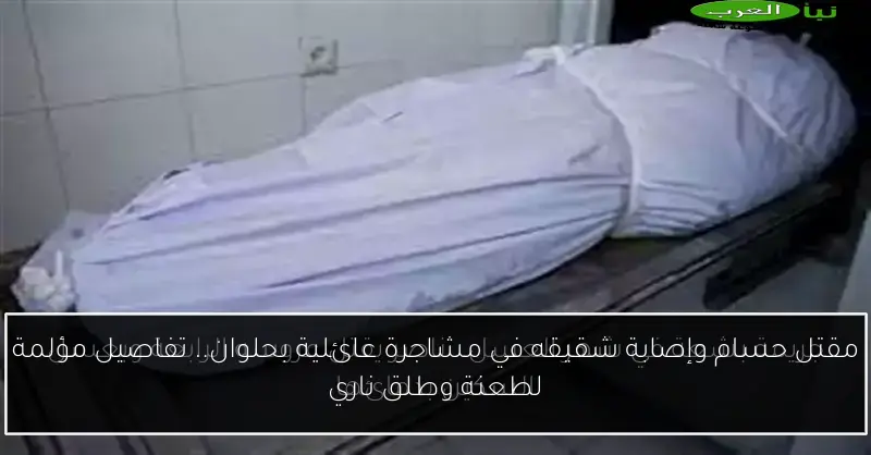 مقتل حسام وإصابة شقيقه في مشاجرة عائلية بحلوان.. تفاصيل مؤلمة لطعنة وطلق ناري