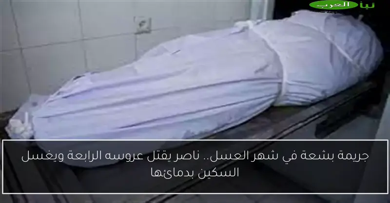 جريمة بشعة في شهر العسل.. ناصر يقتل عروسه الرابعة ويغسل السكين بدمائها
