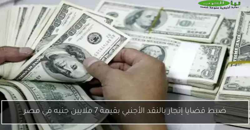 ضبط قضايا إتجار بالنقد الأجنبي بقيمة 7 ملايين جنيه في مصر