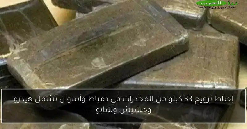 إحباط ترويج 33 كيلو من المخدرات في دمياط وأسوان تشمل هيدرو وحشيش وشابو