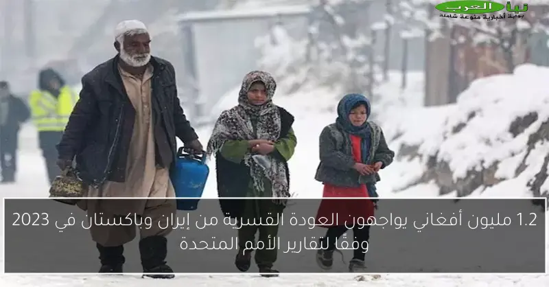 1.2 مليون أفغاني يواجهون العودة القسرية من إيران وباكستان في 2023 وفقًا لتقارير الأمم المتحدة
