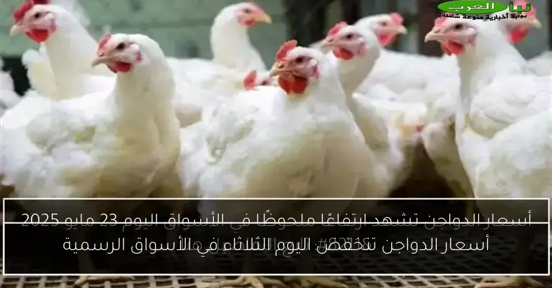 أسعار الدواجن تنخفض اليوم الثلاثاء في الأسواق الرسمية